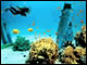 Red Sea Dive&nbsp;