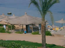 Red Sea Diving