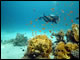 Sharm el Sheik 