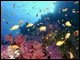 Sharm el Sheik 