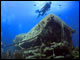 Red Sea Dive&nbsp;
